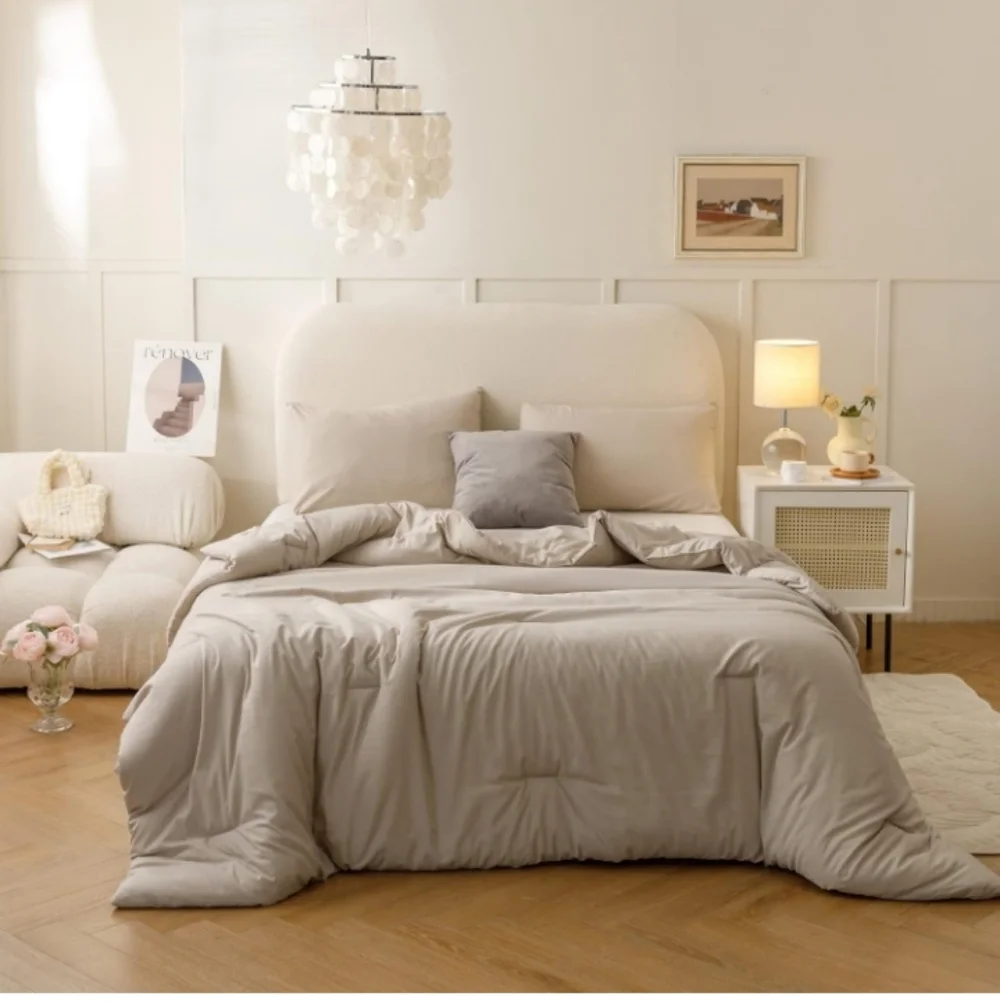 Lightweight Down Bedding Set/ Twin